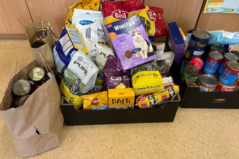 Dary dla Boszkowskich Psów i Kotów